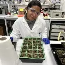 woman with a tray of planted seeds