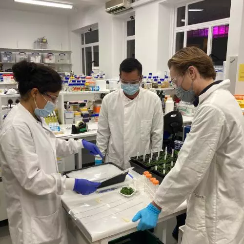Flo, Brett and Dave working in the laboratory
