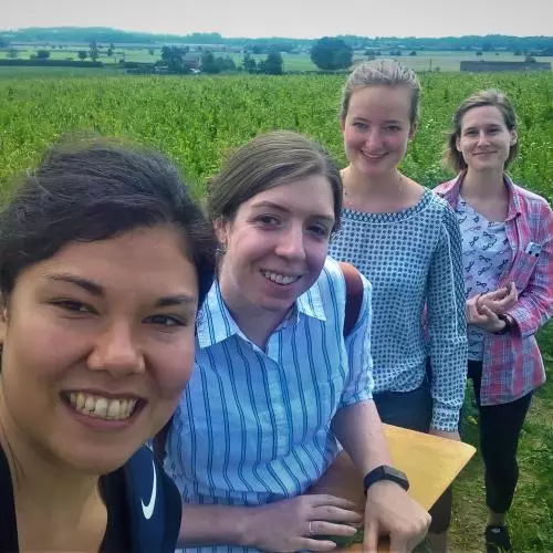 Members of the lab in a field inspecting the crop for any signs of disease