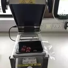 tomatoes being sealed