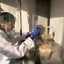 An image of Athira working in a biological safety cabinet