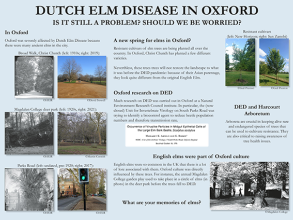 The impact of Dutch Elm Disease in Oxford. This is the third and final information board on the topic currently displayed at the Harcourt Arboretum. 