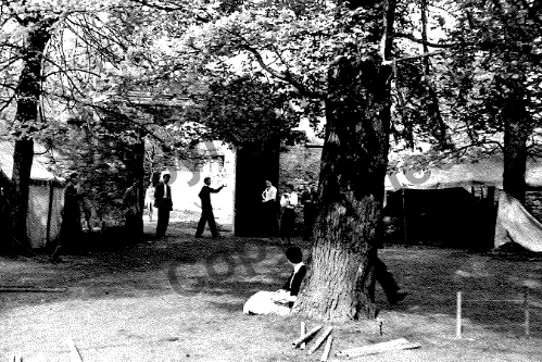 Rehearsal of the Magdalen Players in a circle of still healthy elm trees in Magdalen College, Oxford in 1955